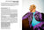 Tarek Lakhrissi
image by Aldo Buscalferri
text by Dominika Hadelova